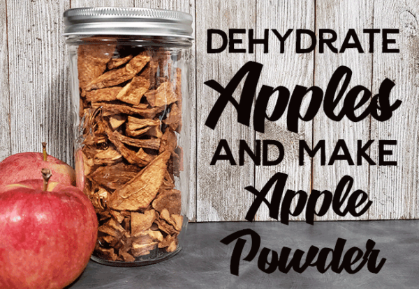 12 Easy Dehydrating Projects for Kids - The Purposeful Pantry