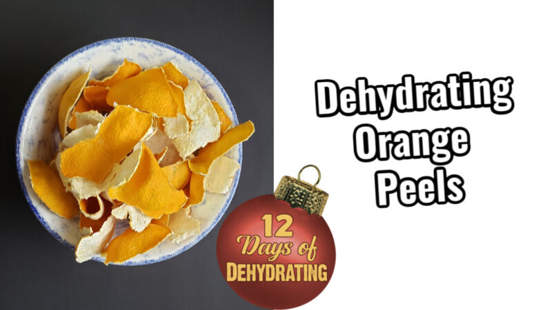 12 Unique Dehydrating Projects To Try - The Purposeful Pantry