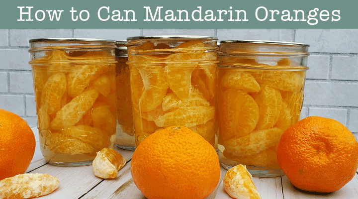 How To Can Mandarin Oranges The Purposeful Pantry