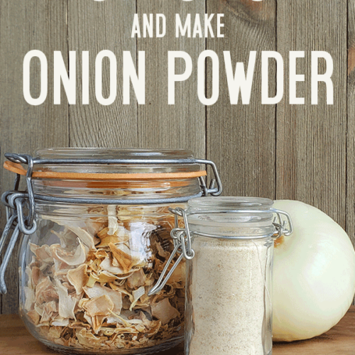 https://www.thepurposefulpantry.com/wp-content/uploads/2020/04/dehydrate-onions-pin1-500x500.png