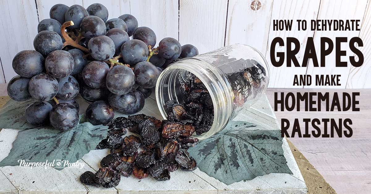 How to Grapes for Raisins - The Purposeful Pantry