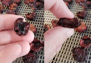 How To Dehydrate Cherries With A Dehydrator Or Oven - The Purposeful Pantry