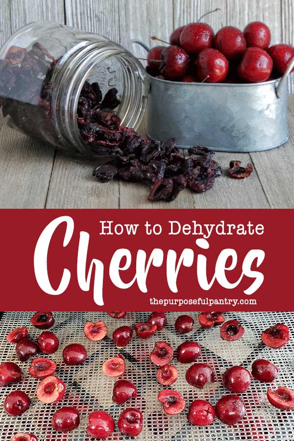 How To Dehydrate Cherries With A Dehydrator Or Oven The Purposeful Pantry 3000