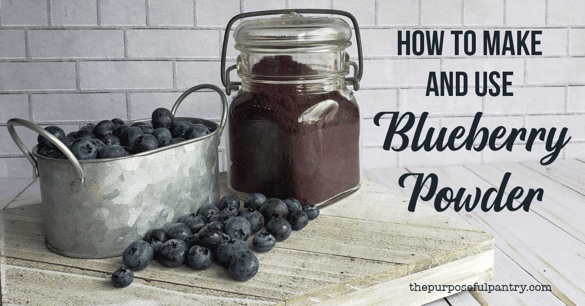 how-to-dehydrate-blueberries-make-blueberry-powder-the-purposeful