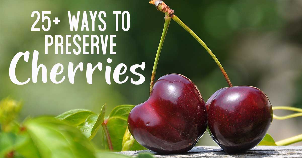 Ways to Preserve Cherries - The Purposeful Pantry