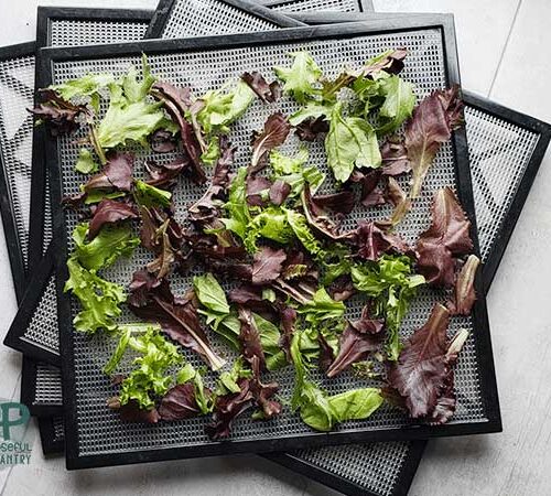 Lettuce Crisper, Lettuce Keeper Tray For Oven And Fridge, Salad