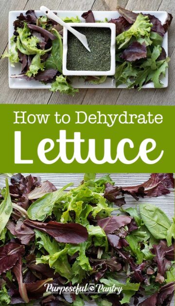 How to Dehydrate Lettuce - The Purposeful Pantry