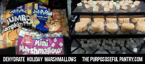 Dehydrating Marshmallows - Sustainable Cooks
