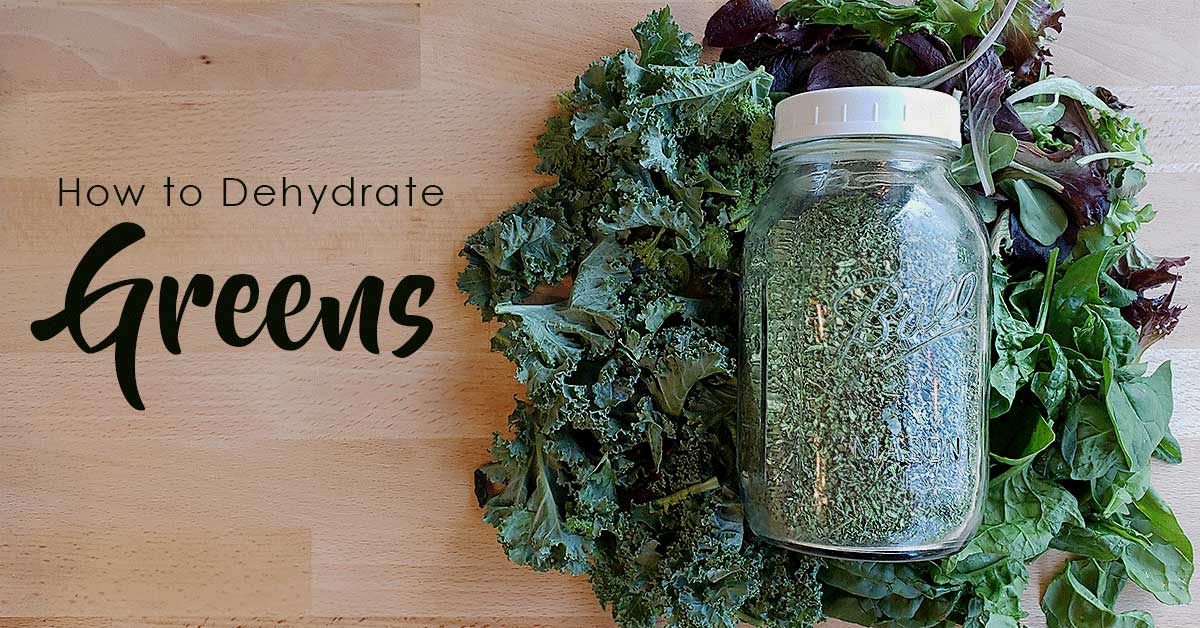 Boost your smoothies with this DIY dehydrated super greens powder - Luvele  US