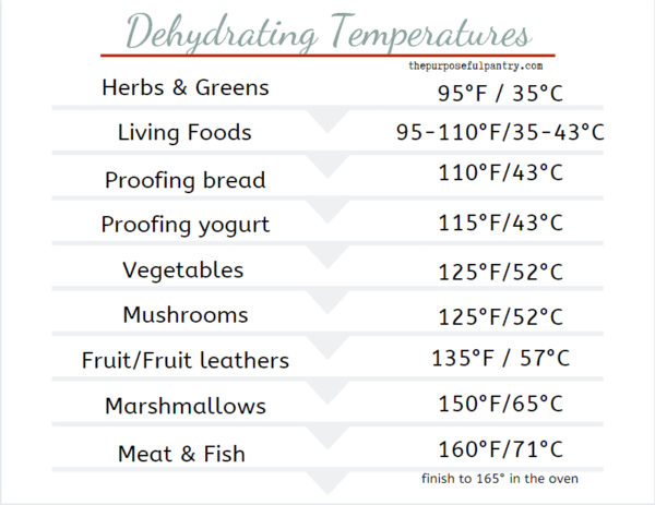 Best Temperature to Dehydrate Fruits and Vegetables - The Purposeful Pantry