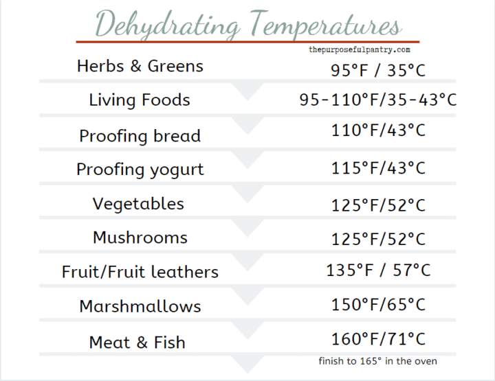 Test the Temperature on Your Dehydrator for Safe Dehydrating The