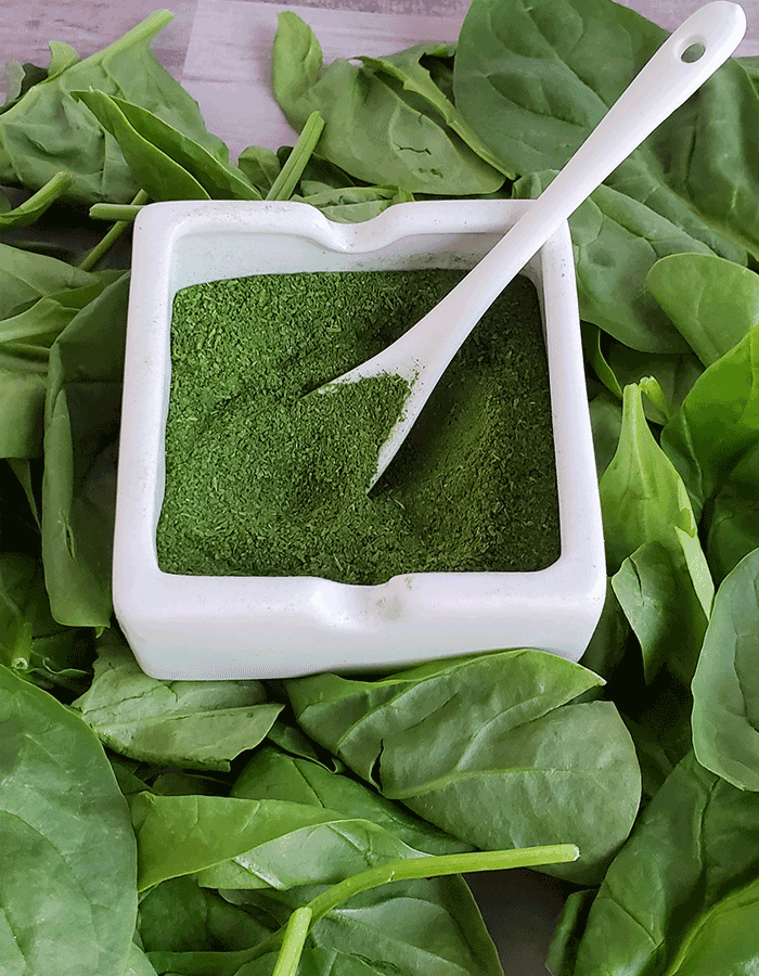 Bed of fresh spinach leaves with a square white dish with spinach powder and white scoop