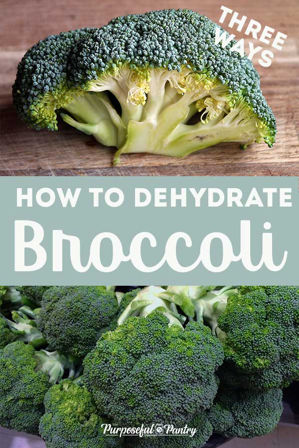 How To Dehydrate Broccoli