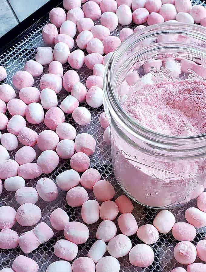 Dehydrated marshmallows on Excalibur dehydrator tray with marshmallow powder in a jar