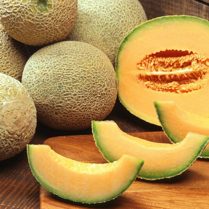 4 Ways to Preserve Cantaloupe - The Purposeful Pantry