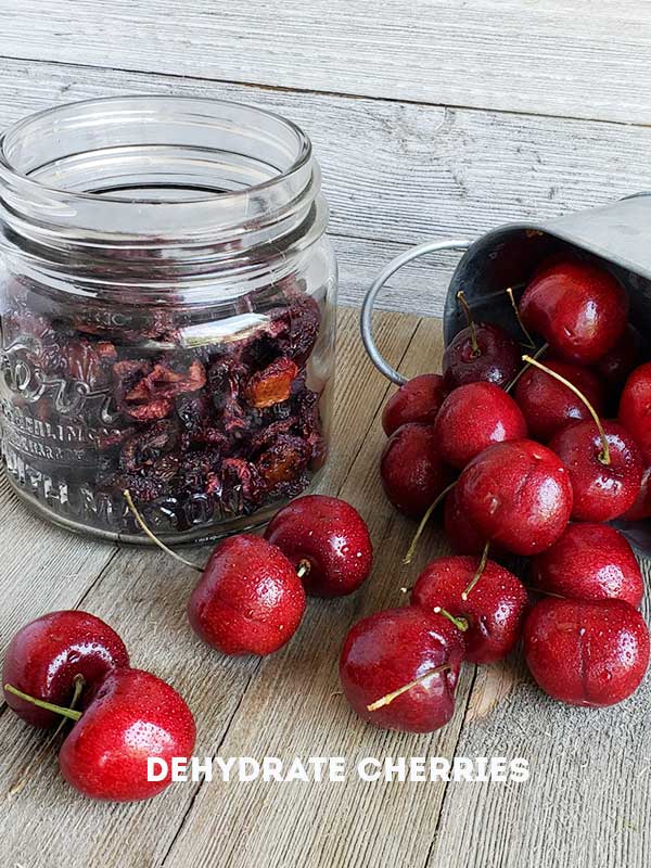 How To Dehydrate Cherries With A Dehydrator Or Oven The Purposeful Pantry 7697