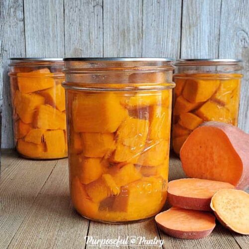 Michigan Fresh: Using, Storing, and Preserving Sweet Potatoes