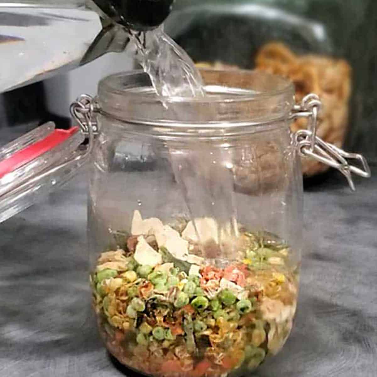 A guide to freeze dried food: 4 easy methods to preserve your