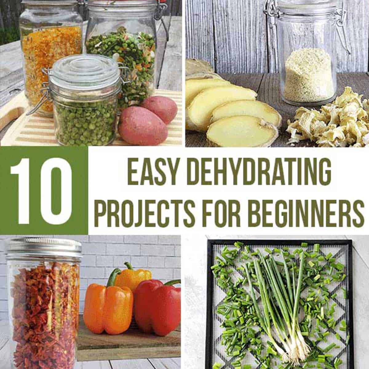 5+ Things to Dehydrate at Home {with helpful tips} – Nifty Mom