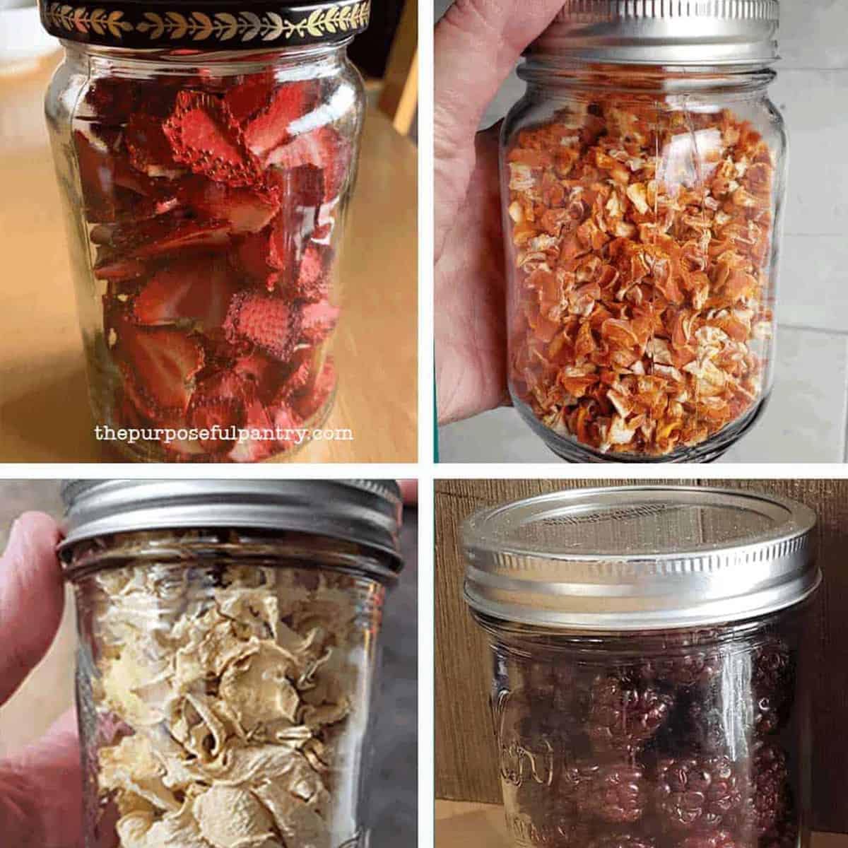 dehydrated food before and after