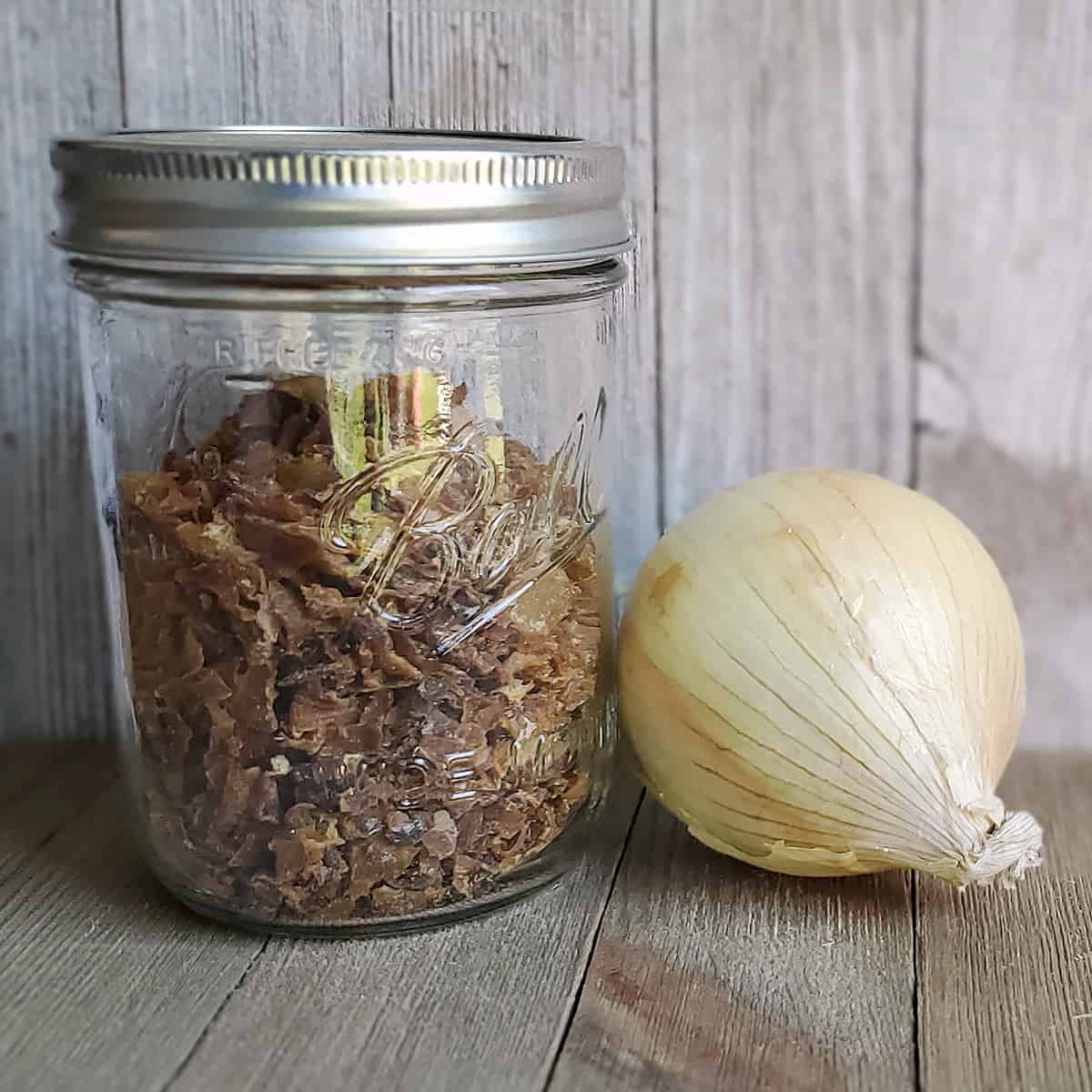 DIY Dried Minced Onion - Salt in my Coffee