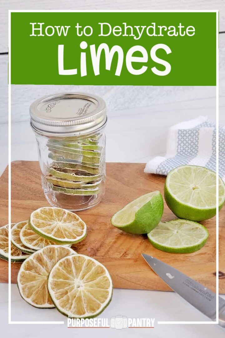 how-to-dehydrate-limes-the-purposeful-pantry