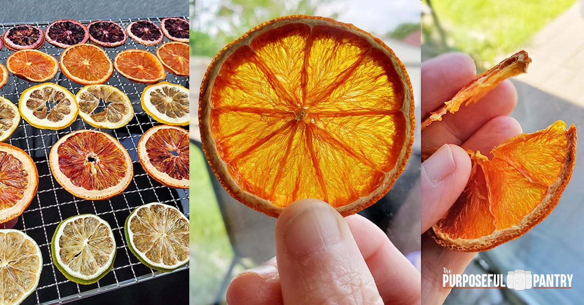 How to Dehydrate Lemons - The Purposeful Pantry