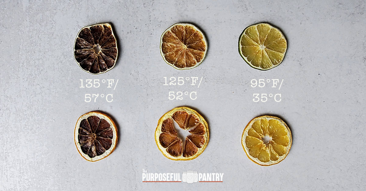 How Dehydrate Lemons The Purposeful Pantry