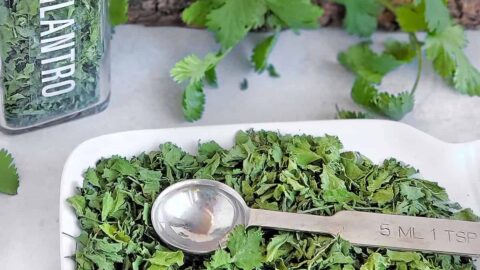 How To Dehydrate Cilantro The Purposeful Pantry