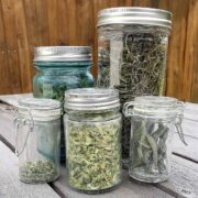 5 Best Tips for Storing Dried Herbs - The Purposeful Pantry