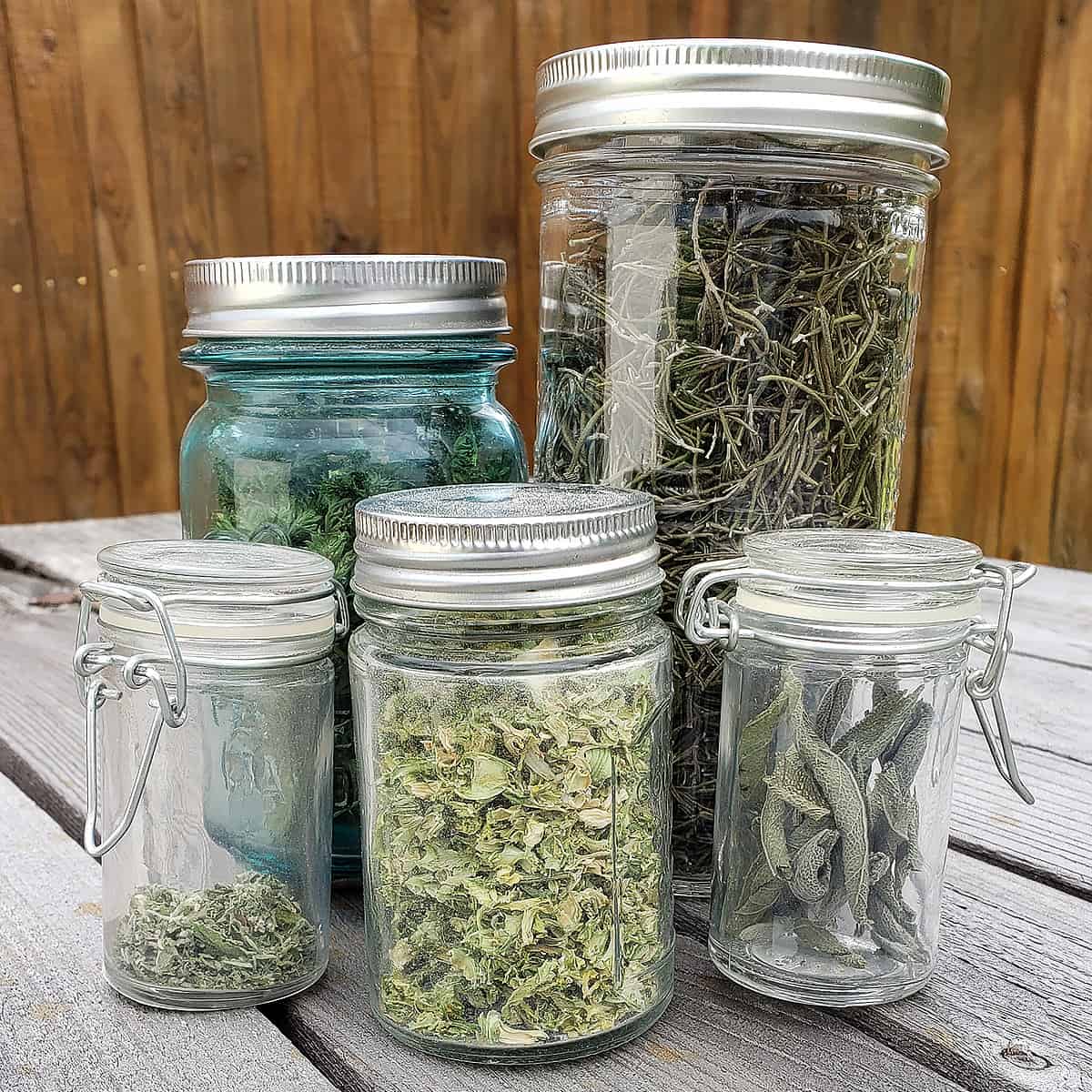 5 Best Tips for Storing Dried Herbs - The Purposeful Pantry
