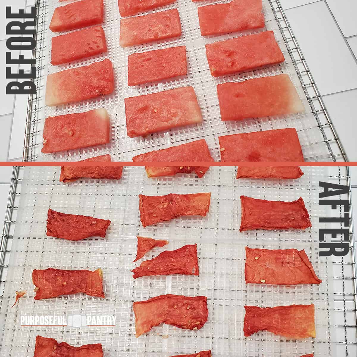 How Dehydrate Watermelon - The Purposeful Pantry