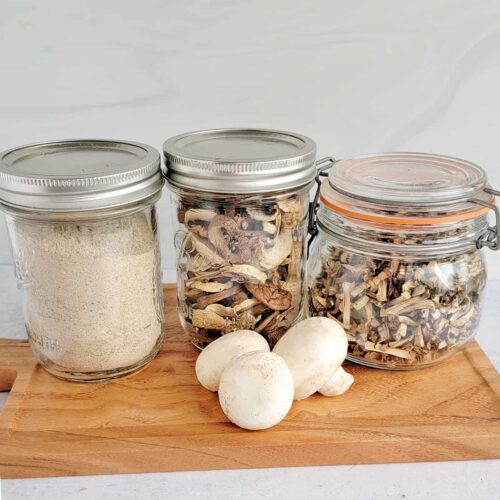 Large & Small Airtight Mushroom Containers