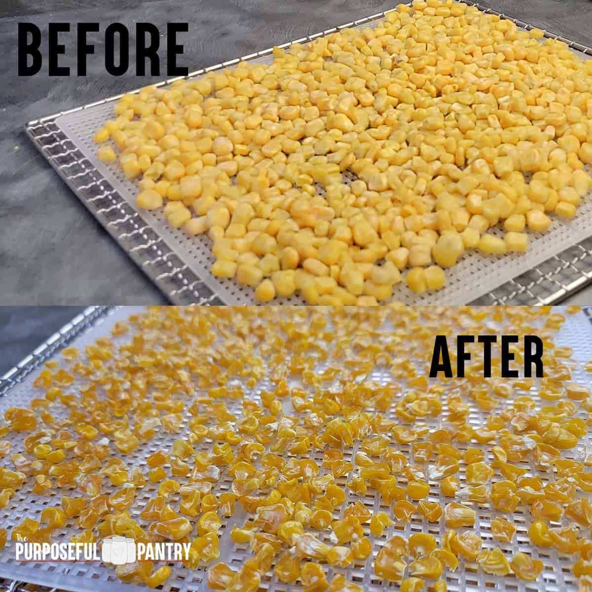 How To Dehydrate Peppers Onions Dehydrating Frozen Veggies Magic Mill Food  Dehydrator 