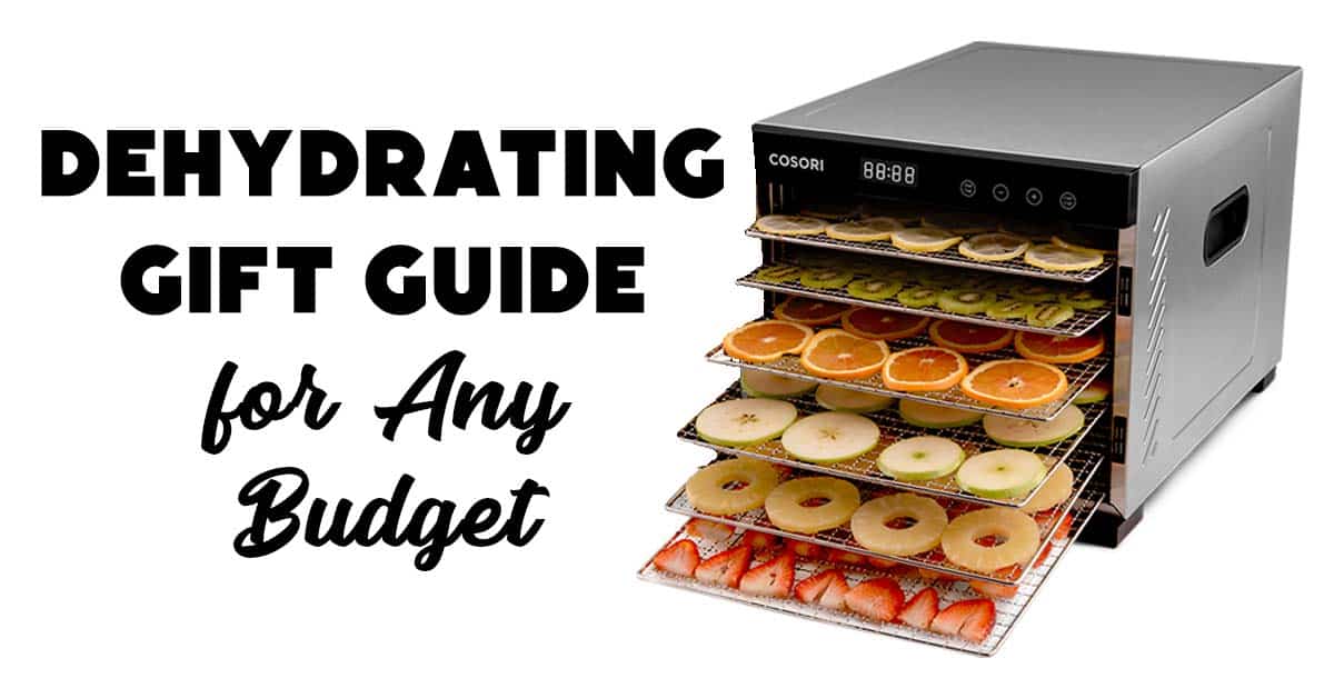 Best Dehydrators for Food Storage - The Purposeful Pantry
