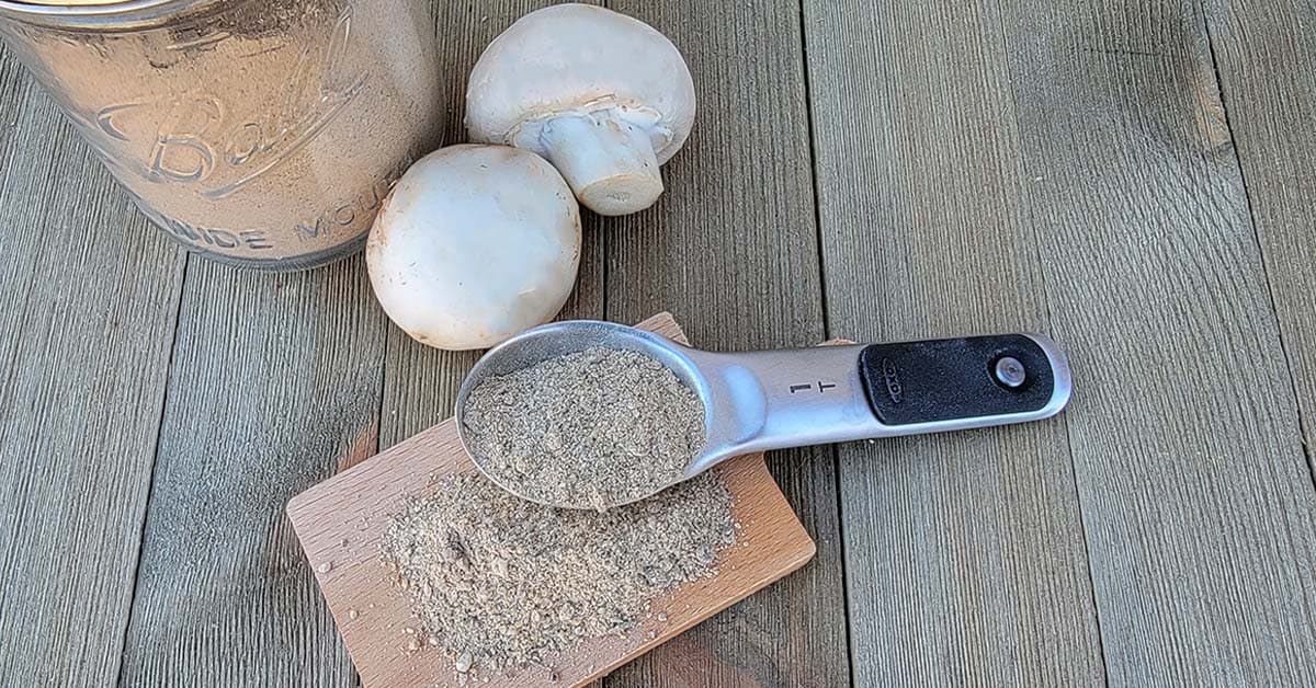 Dehydrated Mushroom Powder Seasoning - Modern Vegan Guide