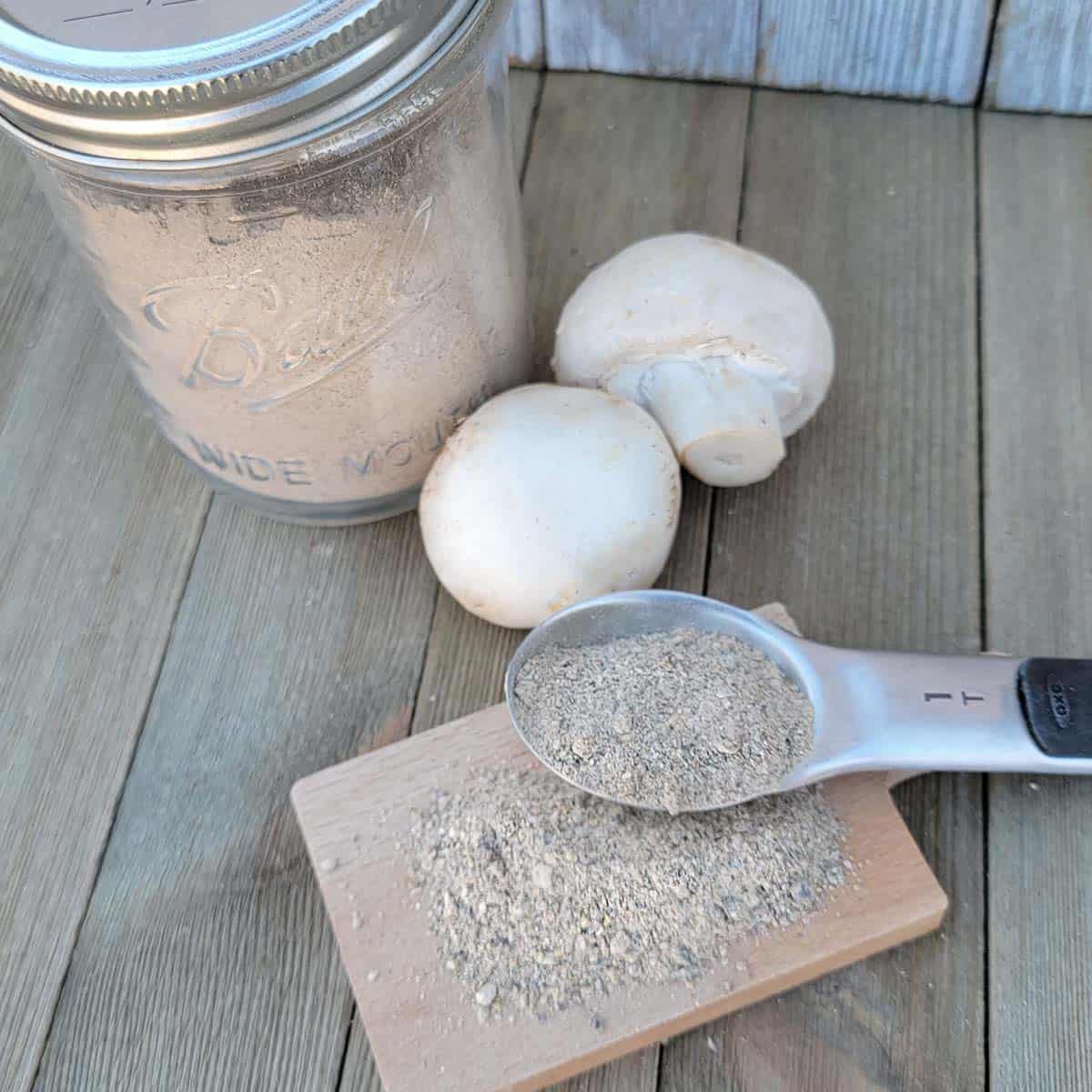 Homemade Mushroom Powder Seasoning - Low Carb No Carb