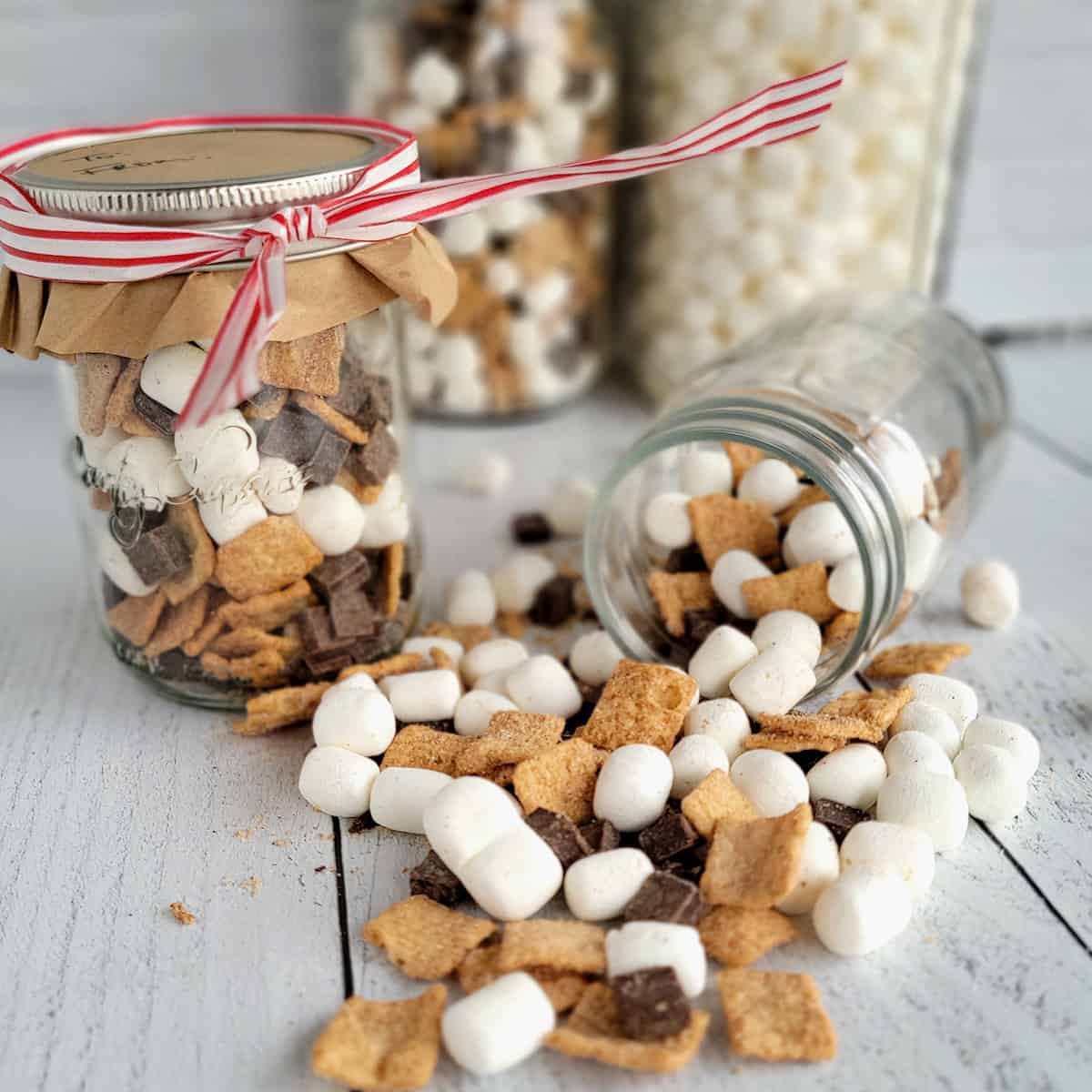 Crunchy S'mores Mix with Dehydrated Marshmallows - The Purposeful Pantry
