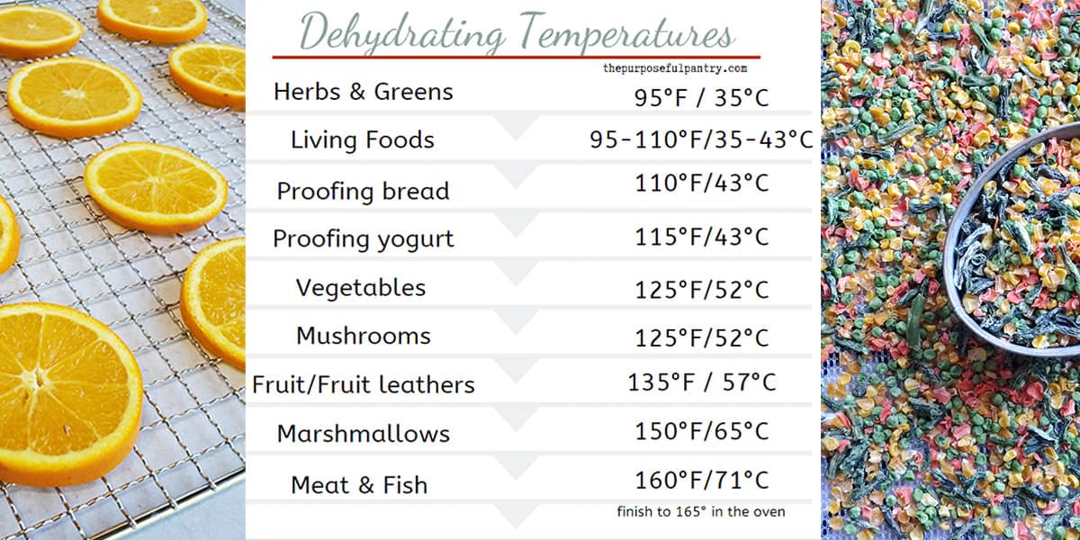 Best Temperature to Dehydrate Fruits and Vegetables The Purposeful Pantry