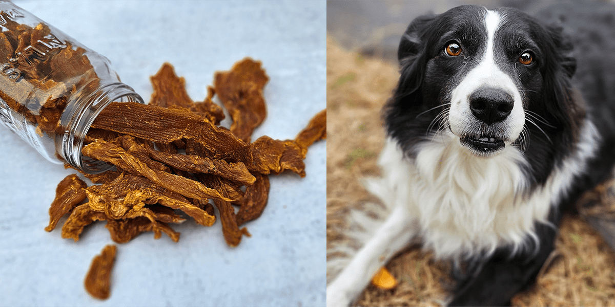 The 6 Best Dehydrators for Dog Chews, Treats, and Jerkies