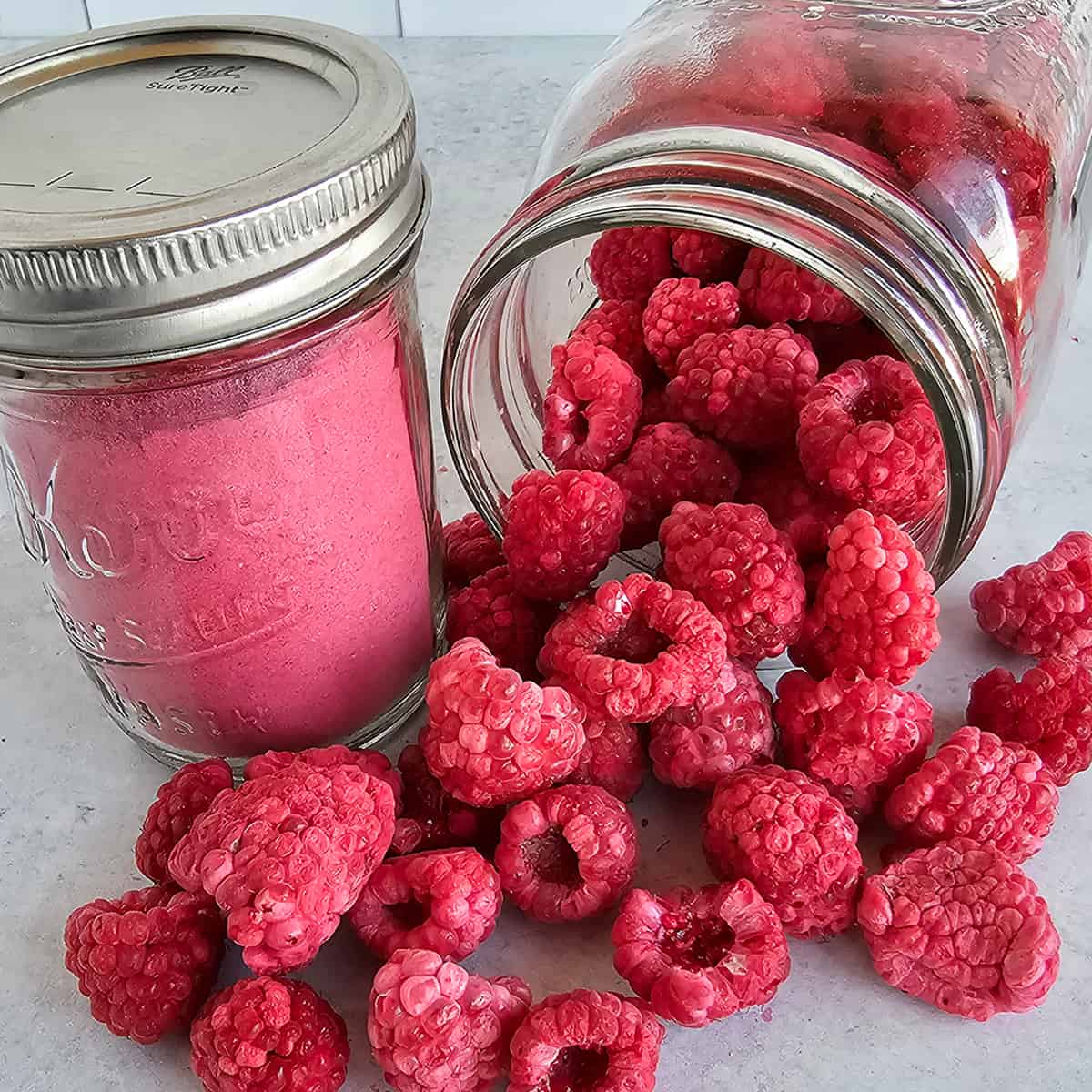 https://www.thepurposefulpantry.com/wp-content/uploads/2023/11/how-to-freeze-dry-raspberries-powder-FEAT3.jpg