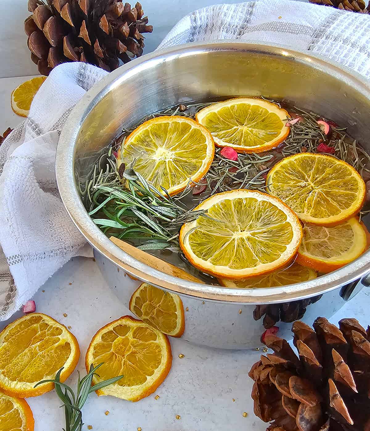 Simmer Pot Mix / Potpourri | Cinnamon, Citrus, Rosemary, and Whole Clove